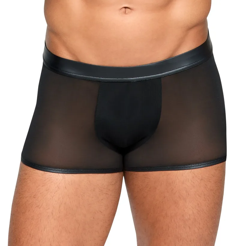 finesse HOMME Pants, semi-transparent